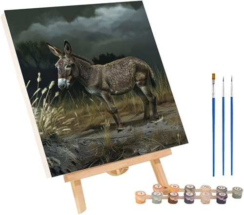 o G DIY Paint by Numbers for Adults  hG Lbg lp SҌA yCgoCio[ l̃Ntg Paint by Numbers z[EH[fR[Vp av[g 5