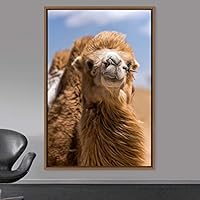 Framed Canvas Wall Art Camel Animals Camels Expressive Farmhouse/Country Living Room Multicolor Photography - 16x24 inches