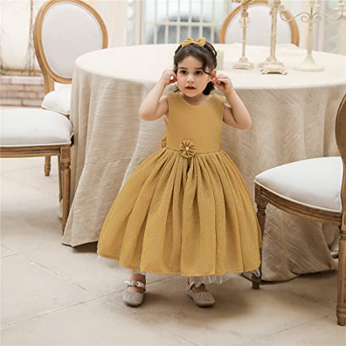 Image of TUIJI 0-6T Big Bowknot Toddler Baby Girls Formal Dresses Pageant Party Lace Embroidery Dress with Headwear