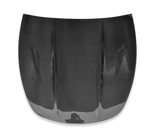 SportReal J[{t@Co[ J[tgop[ {lbg GWt[hxgJo[ eX f Y 2020 2021 2022 2023 Ή(Single Carbon)