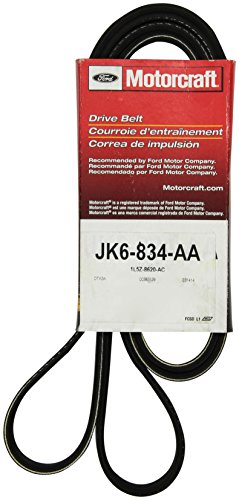 Courroie striée Motorcraft JK6834AA pour moteur de voiture
