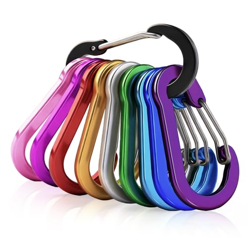 flintronic 10 Pezzi Moschettone Portachiavi, Piccoli Moschettone Piccolo Alluminio, Moschettoni a Sgancio Rapido, Portatile Moschettoni Multipli, per Zaino Cani al Guinzaglio Campeggio Pesca Viaggi