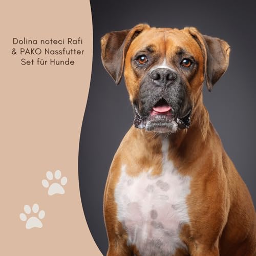Dolina Noteci Rafi & PAKO Mixbox Nassfutter für Hunde | 24x400g | Sorten mit Truthahn, Ente, Rind & Geflügel | Hoher Fleischanteil & Proteinreich | 9,6 kg