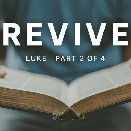 Luke | Part 2 of 4