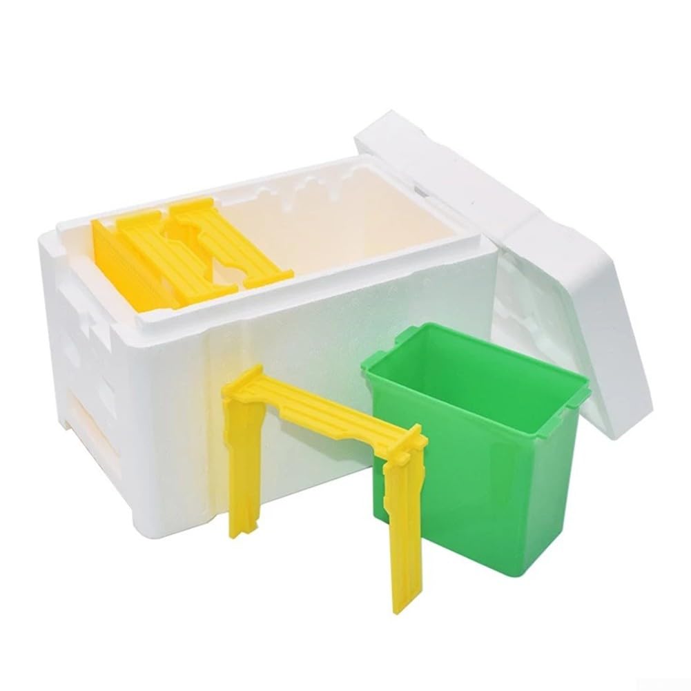 Boîte d'accouplement des abeilles, mini ruche, boîtes à abeilles avec distributeur d'eau, outil d'élevage et de récolte d'abeilles, maison naturelle