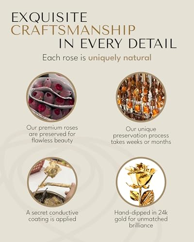 Image of Forever Rose 24K Gold Dipped Real Rose, Handmade, in Leather Case