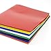 BAZIC Products 2 Pockets Poly Folder Portfolio, Letter Size Plastic Folders Holder for Office Documents Paper Organizer, Assorted Color, 48-Pack