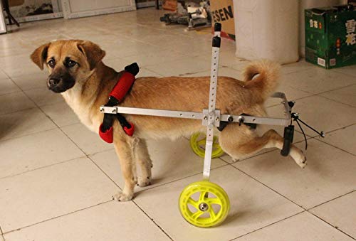 Silla de ruedas para perros y carrito fácil de mover para paseos sin límites 3