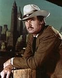 ブロマイド写真★海外ドラマ『警部マクロード』デニス・ウィーバー/摩天楼バック