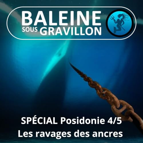 SP&Eacute;CIAL Posidonie 4/5 : Un tr&eacute;sor ravag&eacute; par les ancres des bateaux