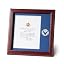 Allied Products Frame U.S. Navy Medallion Presidential Memorial