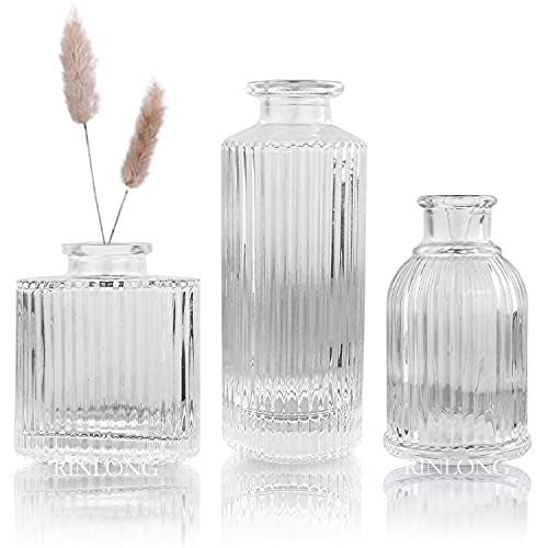Rinlong Geprägte kleine Glasvasen Set Knospenvasen für Blumen Rustikale Vintage Gestreifte Schnitzvase Mini Bulk Hochzeit Vasen Bauernhaus Esstisch Kaminsims Kinderzimmer Dekor Cover