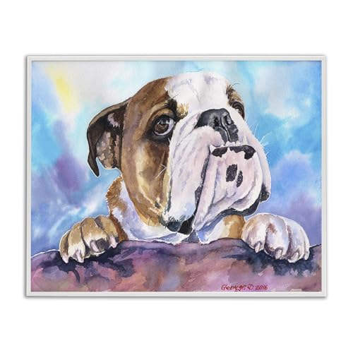 Stupell Industries 'English Bulldog Dog Pet Watercolor', Framed Giclee Art, White, 20 x 16 Inches, Easy to Hang and Sturdy, Made in USA, by George Dyachenko