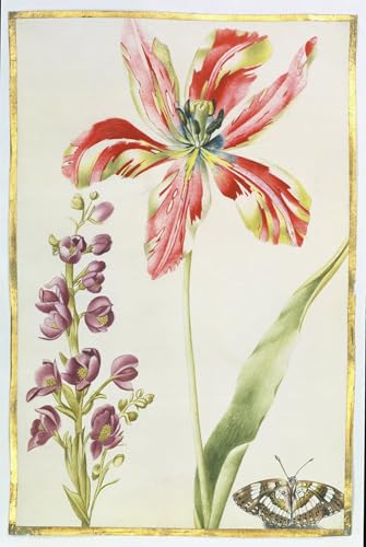 Tableaux Souches de tulipes et insecte grand format pour salon chic