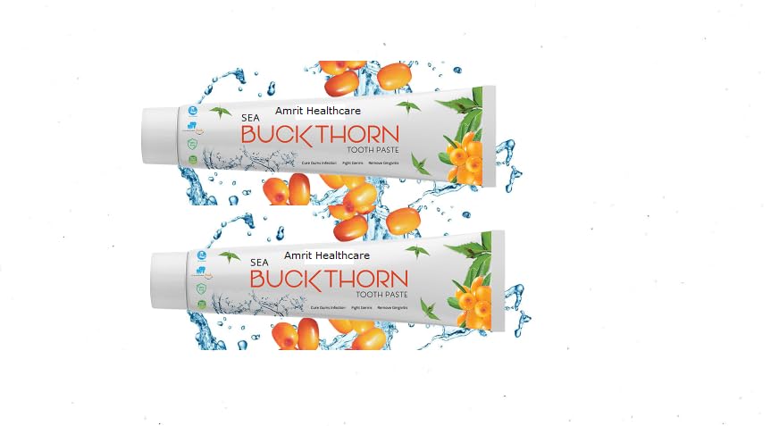 Sea Buckthorn (Swollen gums, Bleeding, Gingivities,Gum infections) Toothpaste (100 g, Pack of 2) (B0CMWYJY44) Amazon Price History, Amazon Price Tracker
