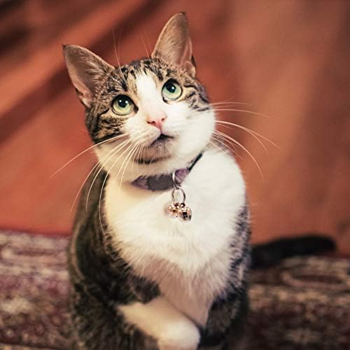 Hound & Yard Extra Loud Pair of Cat or Dog Brass Silver Bells Collar Charm Handmade Pet Tracker Tracking Acorn Falconry (Medium)