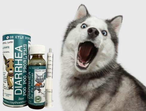 HEALTHY PAWS HERBAL LABS Poo Poo Poo Problems Alivio de la Diarrea Natrual para Perros y Gatos -2fl oz Food Topper