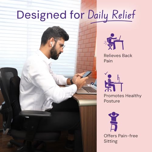 Image of Careforce Back Support for Chair Car Seat Back Support Office Lumbar Pain Relief Rest Pillow- Black