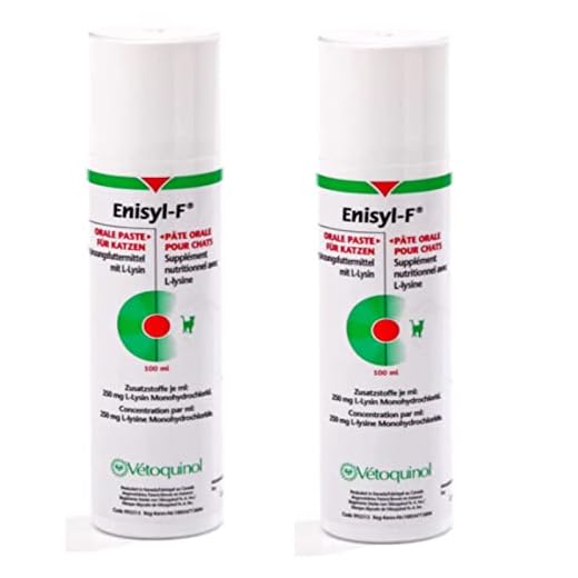 Vetoquinol Enisyl-F Paste - Doppelpack - 2 x 100ml Pumpflasche
