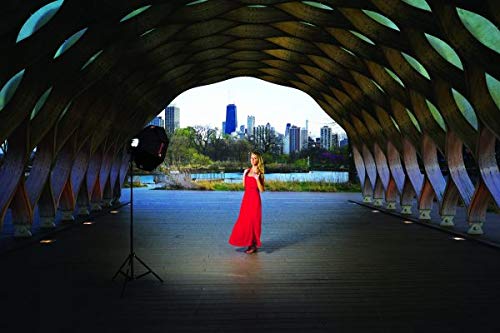 Photoflex Rapidome - Collapsible Softbox For Speedlights With Grid & Light Stand #TOP5