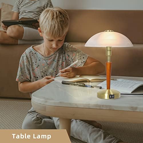 Bedside Lamps, Touch Lamp with 2 USB Charging Ports, Glass Lampshade Table Lamp Light Dimmable Desk Lamp for Bedroom, Living Room, Reading, Studying (Bronze)