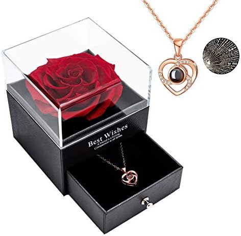 Yamonic Mothers Day Rose Gifts for Mum,Preserved Real Rose with I Love You Necklace 100 Languages,Mum Gifts from Daughter, Eternal Rose for Mother's Day Wedding Anniversary Birthday Gift for Her,Red