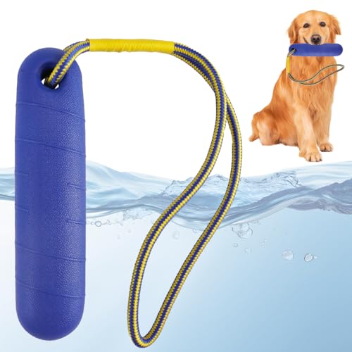 Zykra Wasserspielzeug für Hund 22 cm, Schwimm Spielzeug für Hunde für Mittelgroße Große Hunde, Wasserspielzeug für Hund Hundetraining, Hundetraining Wasserspielzeug, Leuchtturm Hundespielzeug Wasser