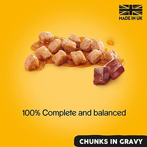 Pedigree Adult - Wet Dog Food - for Adult Dogs - Can Mixed Selection in Gravy - 12 x 400g