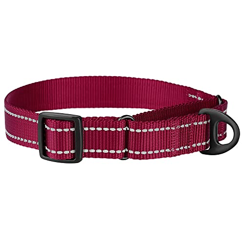 Collardirect Reflective Martingale Dog Collar Nylon Heavy Duty Training Pet Collars For Small Medium Large Dogs Puppy Black Blue Lime Green Mint Green Red Pink Purple Dark Red #TOP3