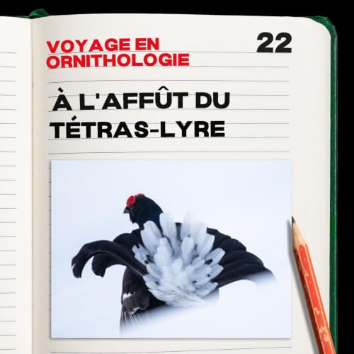 #22. Le voyage en ornithologie - &eacute;pisode 1 &agrave; l'aff&ucirc;t du T&eacute;tras-Lyre.