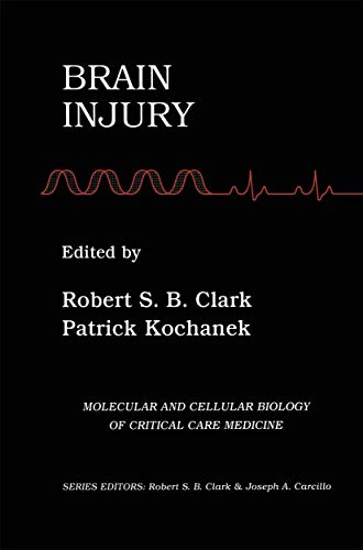 Brain Injury view 2