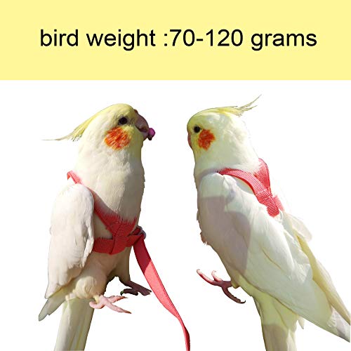 Vanfavori Adjustable Bird Harness With 80 Inch Leash, Outdoor Flying Training Rope Kit For Bird Parrots S Size Weight 75-110 Grams, One Piece(Colors May Vary) #TOP1