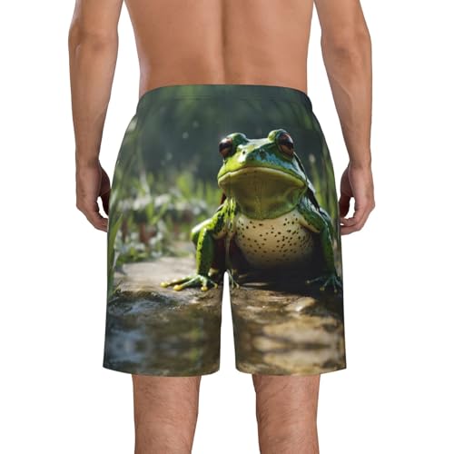 Frog Leaves Print Mens Beach Pants Men's Novelty Swimtrunks Quick Dry Lining Beach Board Shorts S-3XL3