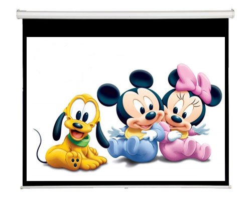 Best Maxstar Projection Screens