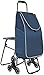 Treppensteigen Faltbares Gepäck Mit Stuhl Tragbare Seitentasche Dichte Handwagen (Größe: 30X20X90Cm) (30X20X90Cm)