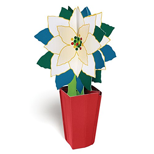 White Poinsettia Holiday Card by Jann Johnson