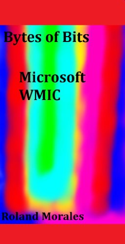 Bytes of Bits WMIC (English Edition)