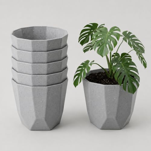 Image of YUCCABE ITALIA SHERA Hexa Plastic Planter Pot for Plants Decorative Flower Pot UV Protected Lightweight Indoor Outdoor Gamla for Home Decor, Balcony, Garden & Living Room (Stone Grey, 8 INCH - 6 Pcs)