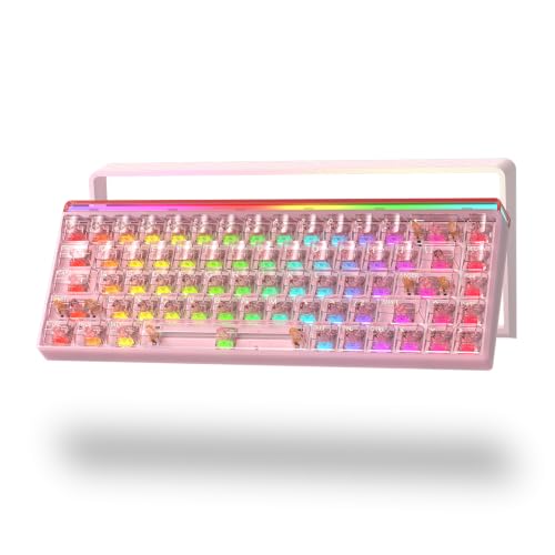 Hexgears MX68 Clavier de jeu mécanique filaire 60 % TKL avec cadre amovible, interrupteur magnétique Nuomi à effet Hall, retard de 0,125 ms et taux de scrutation de 8000 Hz, rétroéclairage RVB et