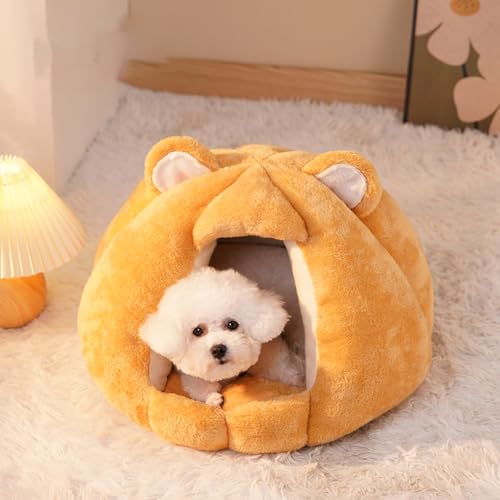 [Cm] L S xbh LnEX ybgxbh  h[^ J{` ybgNbV \t@[ CG[ B ~  ybgnEX g ^ ӂӂ pxbh lRxbh 􂦂 ۉh ~ 薰xe