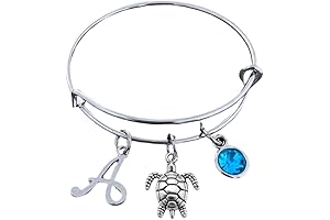 Personalized Birthstone & Initial Turtle Bracelet: Charm and Style United
