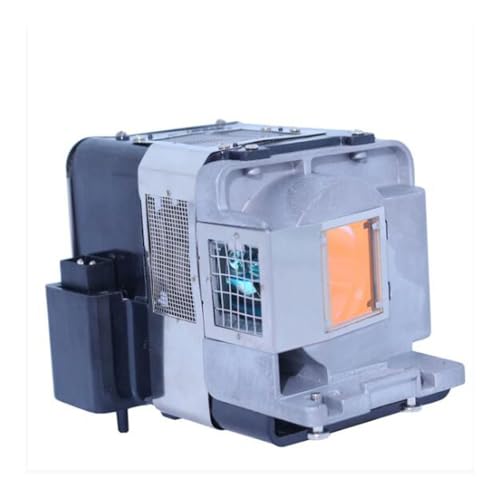 Lampe projecteur P-VIP 230W 5J.J4G05.001 performance stable