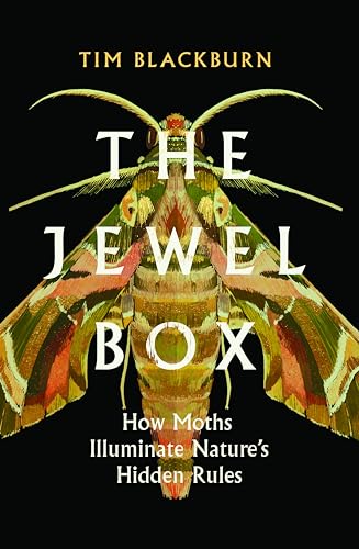 The Jewel Box: How Moths Illuminate Nature's Hidden Rules