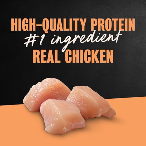 Image of Cesar Classic Loaf in Sauce Wet Dog Food, Chicken & Liver, 3.5 oz, 24 Count | Made in USA, Real chicken #1 ingredient, no fillers /added sugar /artificial flavors, use as meal or topper, easy peel trays