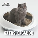  Gatos cagando Calendario: Calendario 2023 - 8.5\'\'x8.5\'\' - Regalos para familiares y amigas amigos