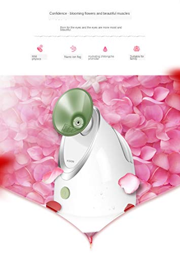 Anncus Christmas Gift Facial Evaporator Nanometer Sprayer Steaming Surface Heat Spray Steam Machine Avocado Green Steamer