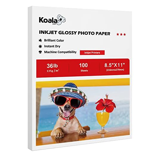 Koala Thin Inkjet Printer Paper for DIY Chip Bag and Print Brochure Flyer 8.5x11 Inches Glossy 100 Sheets 36Lb