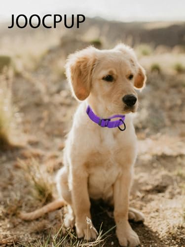 Image of Martingale Dog Collar, Reflective No Pull with Buckle,Purple, XS | Escape Proof without choking ,Training Collar with Quick Release Buckle, Adjustable Heavy Duty Nylon collars for S M L Dogs