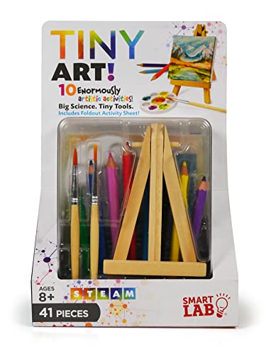 The Amazing Squishy Brain SmartLab Toys Tiny Art! - 10 Enormously Artistic Activities. Big Science. Tiny Tools, Multi