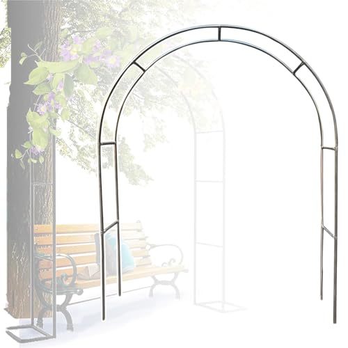 Arche de jardin en acier inoxydable grande tonnelle en métal pour plantes grimpantes